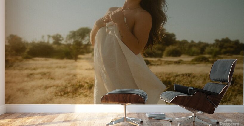 Enjoying Wall Murals