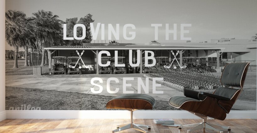 clubscene Wall Murals