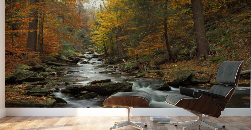 Fall Trees Kitchen Creek Pennsylvania USA 64925 Wall Murals
