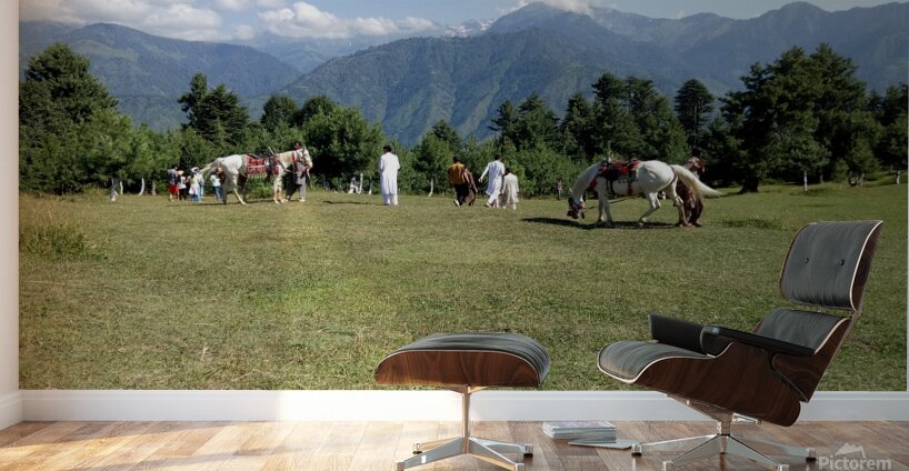 Summer sunny day is in mountain landscape. Wall Murals