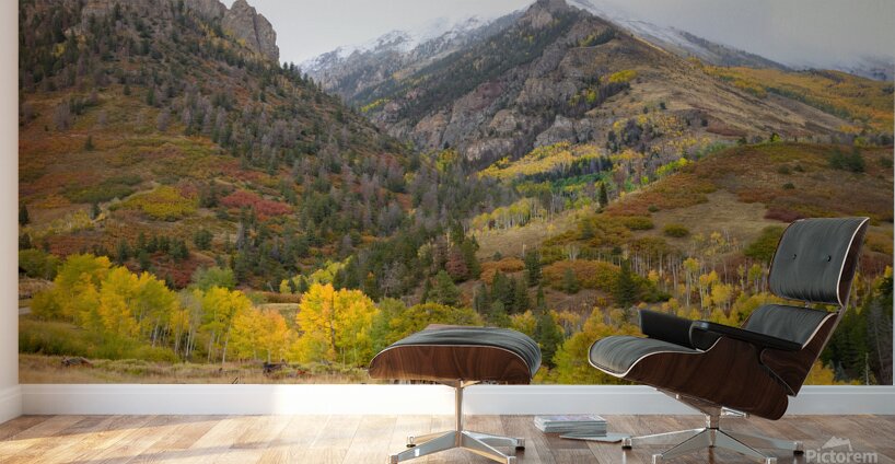 Colorado Landscapes 2 Wall Murals