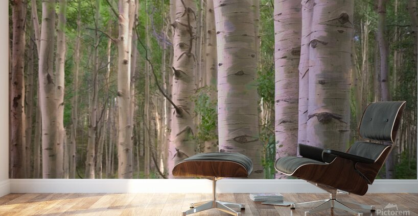 Colorado Landscapes 27 Wall Murals