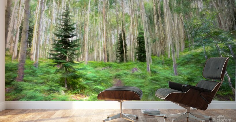 Colorado Landscapes 26 Wall Murals