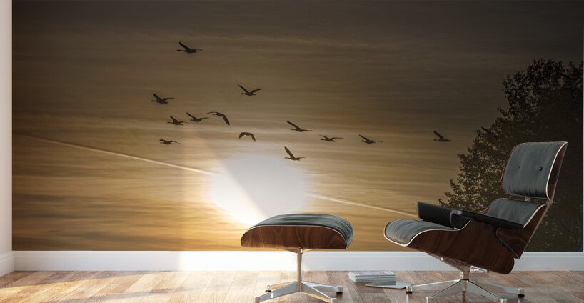 FS240514 Golden Hour Wall Murals