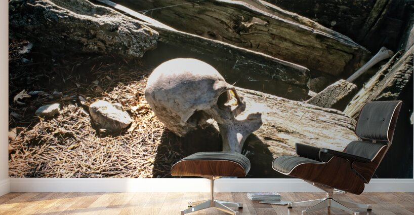 Pakistan. A Kalash cemetery in Bumburet valley Wall Murals
