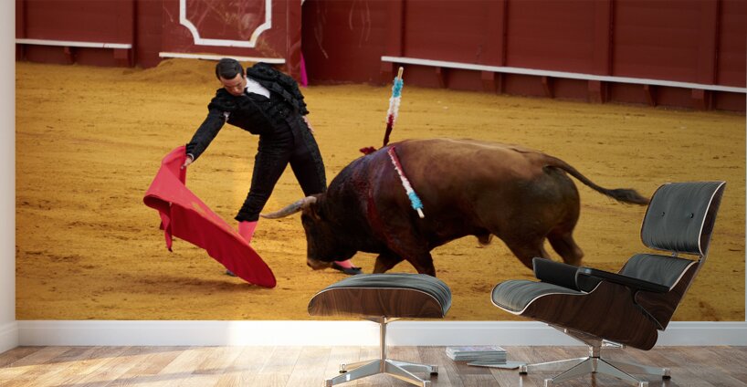 ANDALUSIA SPAIN. Bullfight in Seville Arena Wall Murals