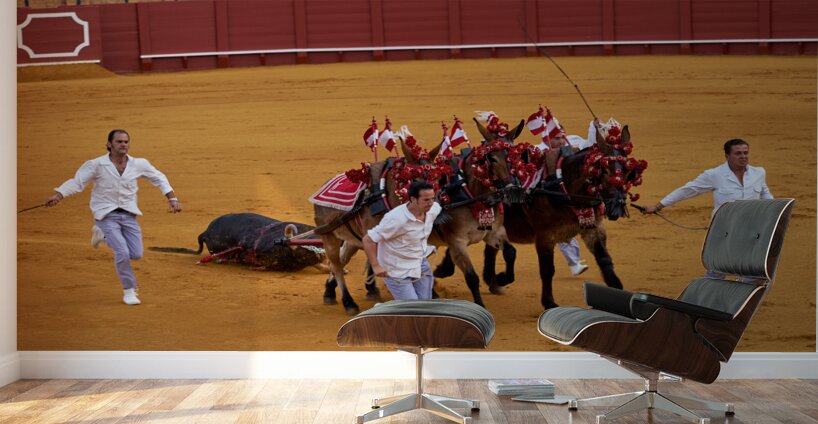 ANDALUSIA SPAIN. Bullfight in Seville Arena Wall Murals