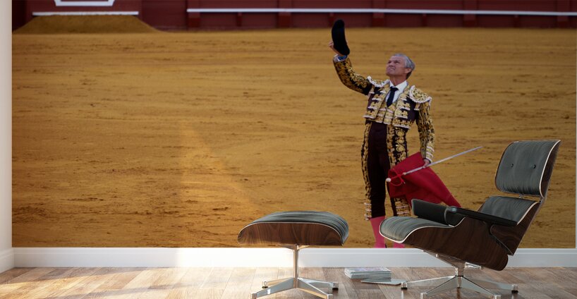 ANDALUSIA SPAIN. Bullfight in Seville Arena Wall Murals