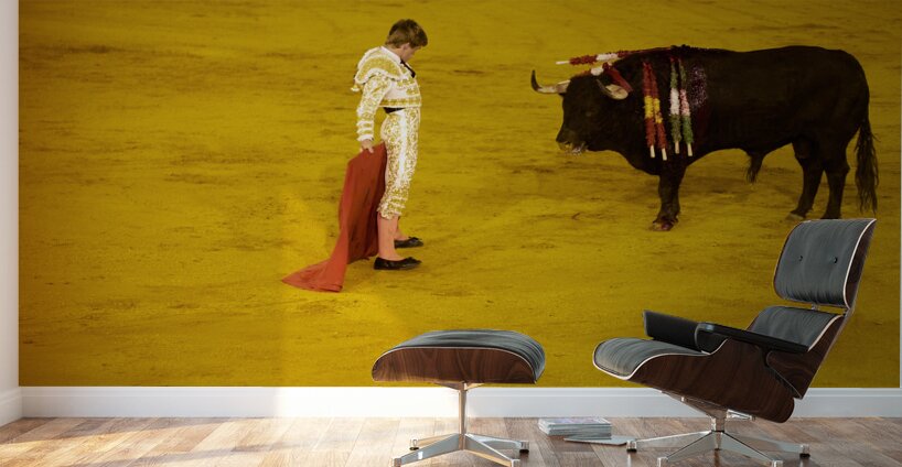 ANDALUSIA SPAIN. Bullfight in Seville Arena Wall Murals