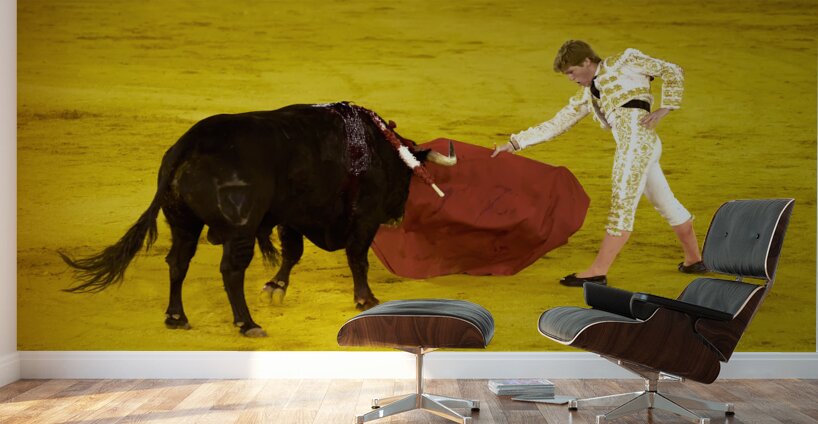 ANDALUSIA SPAIN. Bullfight in Seville Arena Wall Murals