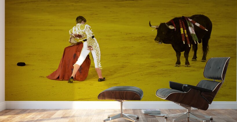 ANDALUSIA SPAIN. Bullfight in Seville Arena Wall Murals