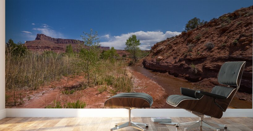 Professor Creek By A Bluff Wall Murals