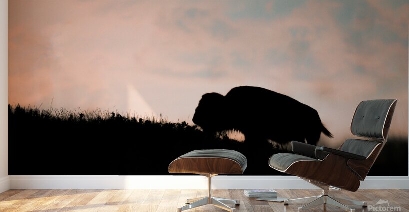 DSC00433 Enhanced SR Wall Murals