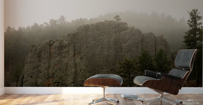 DSC09135 Wall Murals