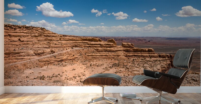 Moki Dugway Cedar Mesa Wall Murals