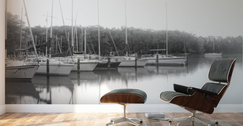 Quiet Morning at Smith Mountain Lake Wall Murals