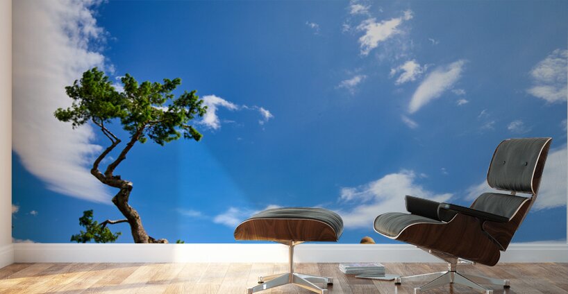 Apulia Puglia Italy. The Basilica of Santa Maria Maggiore di Siponto Wall Murals