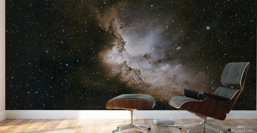 The wizard nebula  Wall Murals