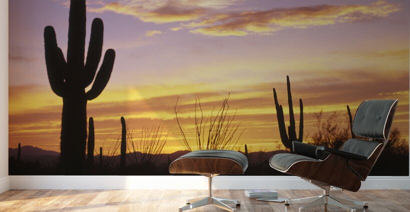 Sunset over Cactus Saguaro National Park AZ 85662 Wall Murals