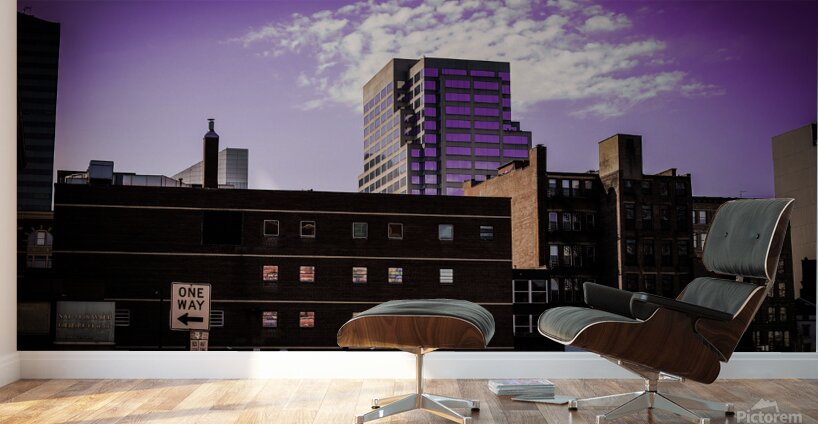 DSC00242 Wall Murals