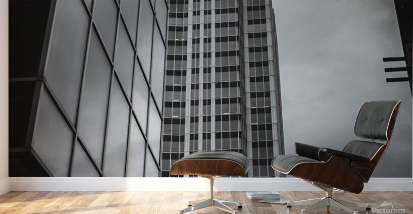 DSC03051 Wall Murals