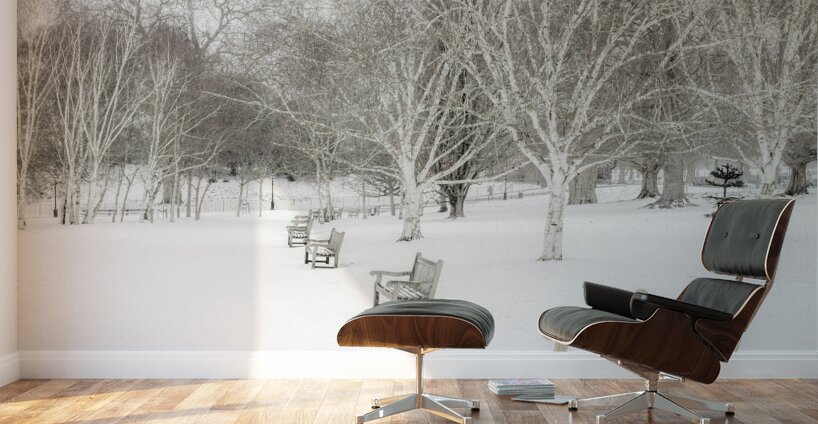 White Winter Wall Murals