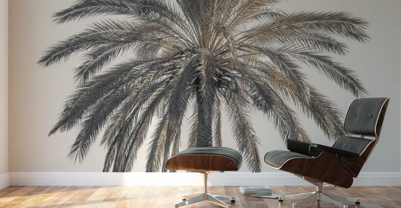 Palm Tree Wall Murals