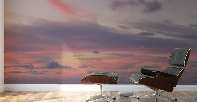 Golden Hour Magic Wall Murals