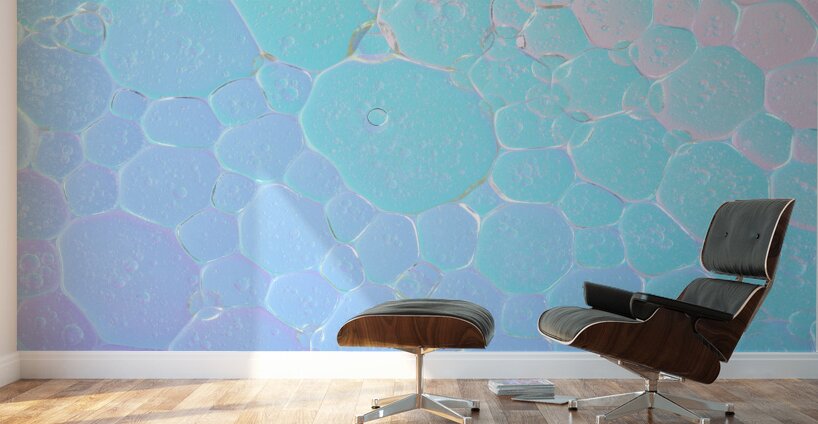 Bubble Ballet Wall Murals