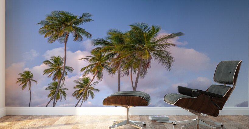 Tropical Palms Evening Wall Murals