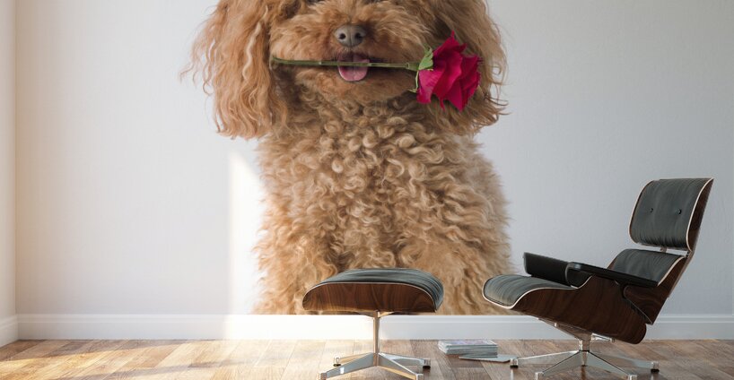 This is for you Wall Murals