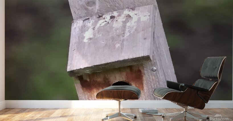 CR5 5699 Wall Murals