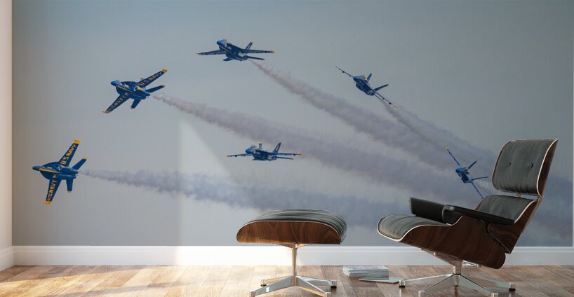 Blue Angels Delta Breakaway Wall Murals