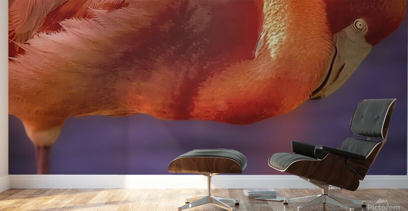 Flamingo sunset 2 Wall Murals