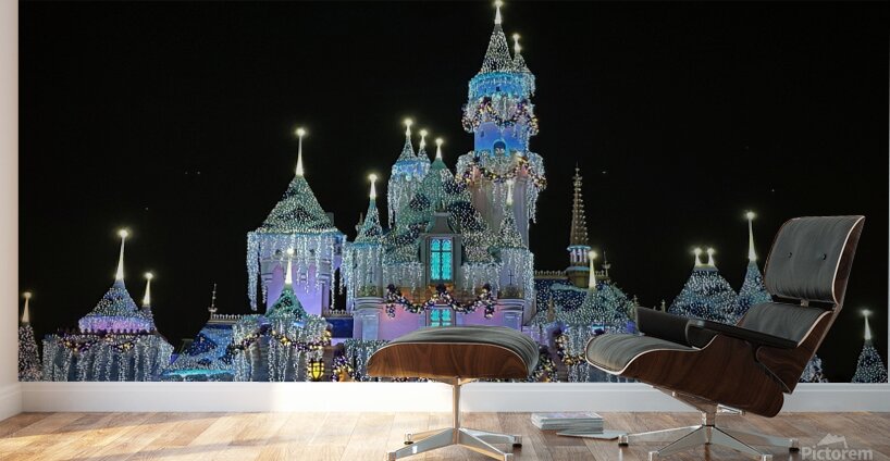 Disneyland Castle Wall Murals