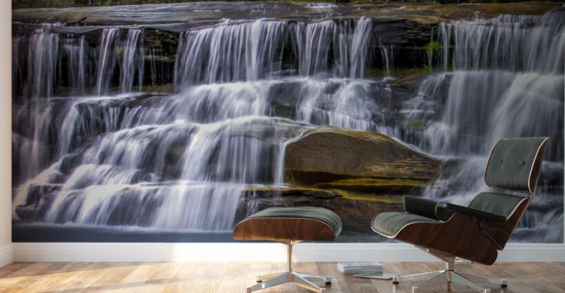 French Broad Falls Wall Murals