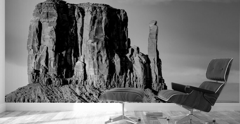 West Mitten Butte Monument Valley Grayscale Wall Murals