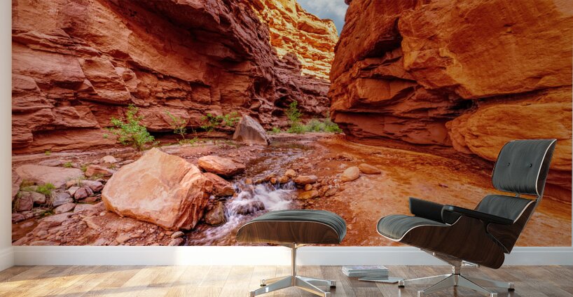 Small Waterfall Mary Jane Canyon Wall Murals