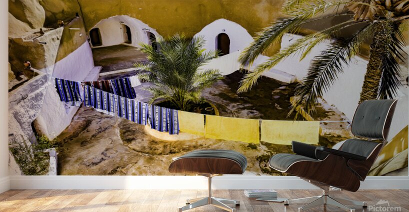 troglodyte Wall Murals