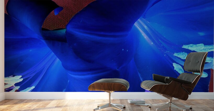  Abstract Colour Popping Lilies Wall Murals