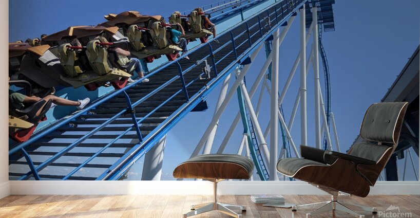 Cedar Point Wall Murals