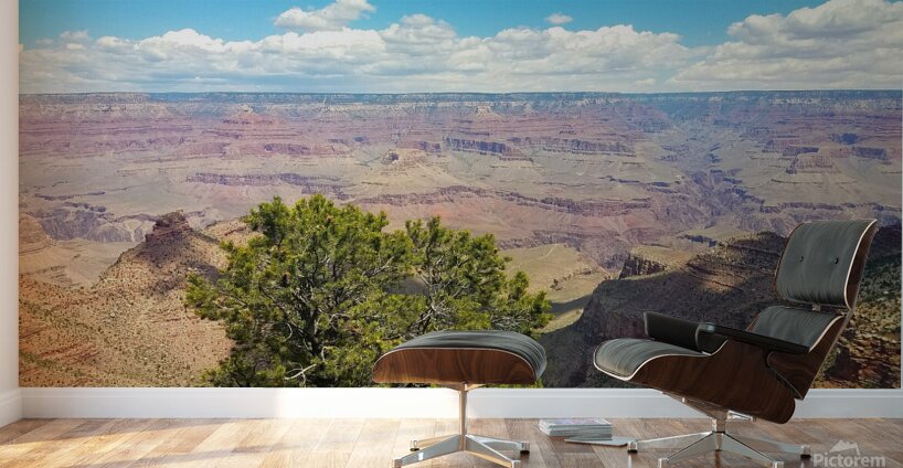 Grand Canyon 1 Wall Murals