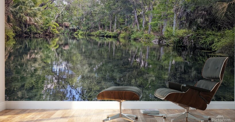 Silver Springs Wall Murals