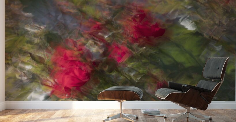 20240615 207 Wall Murals