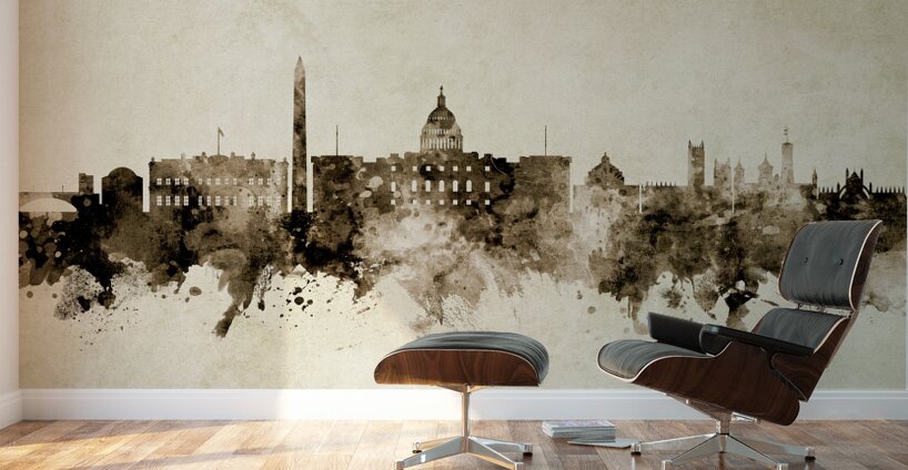 Washington DC Skyline Wall Murals