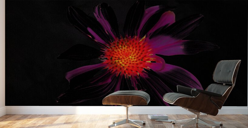 Abstract Single Glowing Cone Flower Wall Murals