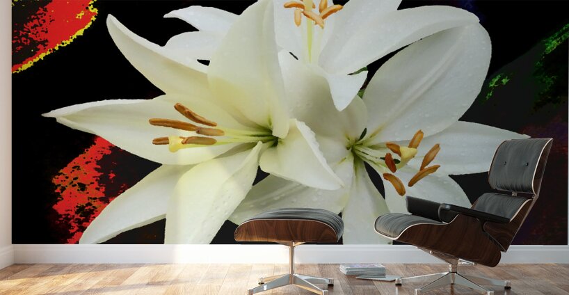  Abstract Trio of White Lilies on a Coloured Distressed Background Wall Murals