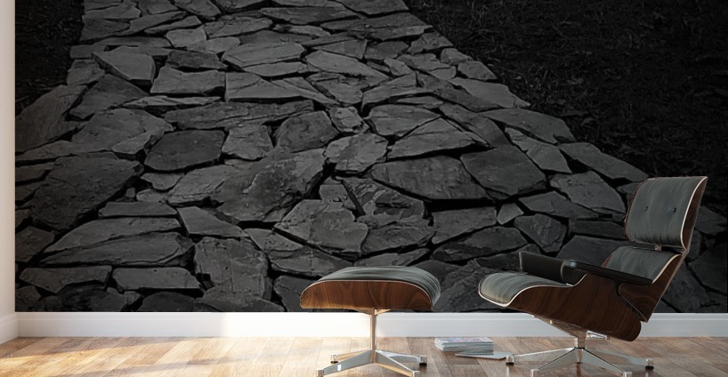 Down A Dark Path Wall Murals