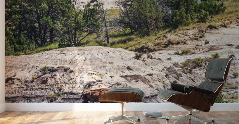 Bison in the Dakota Badlands Wall Murals