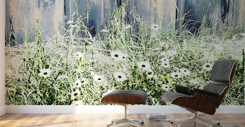 Serene Summer Daises  Wall Murals